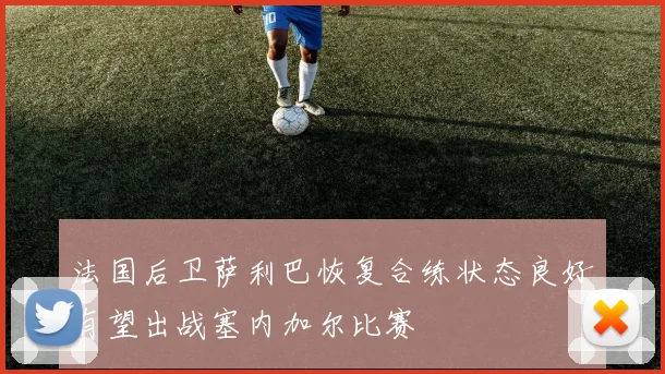 法国后卫萨利巴恢复合练状态良好有望出战塞内加尔比赛
