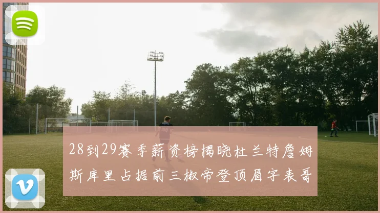 28到29赛季薪资榜揭晓杜兰特詹姆斯库里占据前三椒帝登顶眉字表哥布克跻身前十